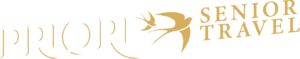 logo priori senior  6 1