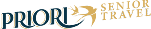logo priori senior  3 100px