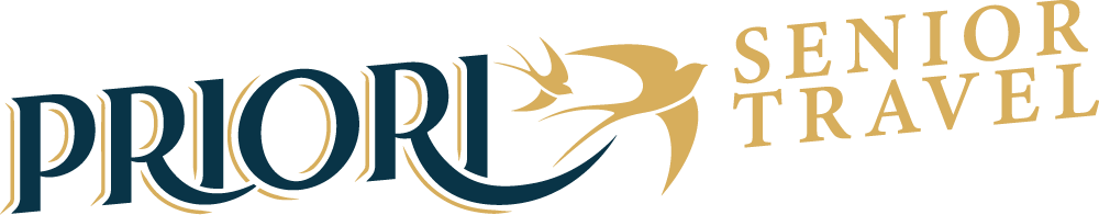 logo priori senior  3 100px